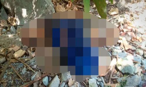 Almora News :  65 साल की बुजुर्ग महिला का शव जंगल में मिला इस हाल में, बाघ के हमले में जान जाने का अंदेशा