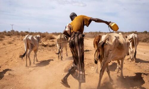 World Water Crisis World Water Crisis