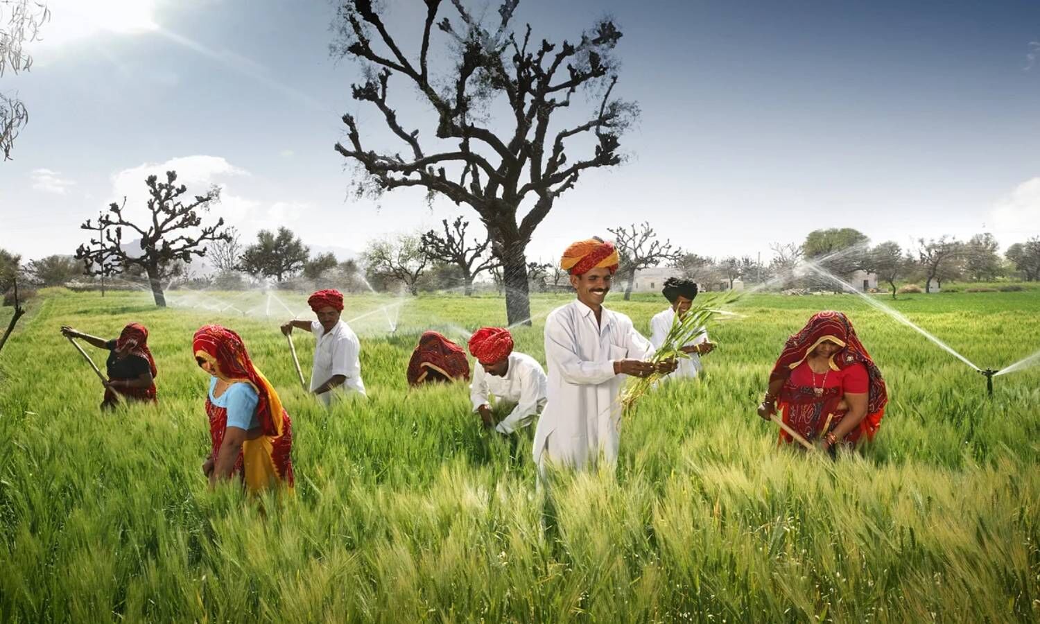 Rajasthan News : राजस्थान में किसानों को लॉटरी से कृषि अनुदान देगी गहलोत सरकार, जानिए कैसे लिया जाएगा आवेदन