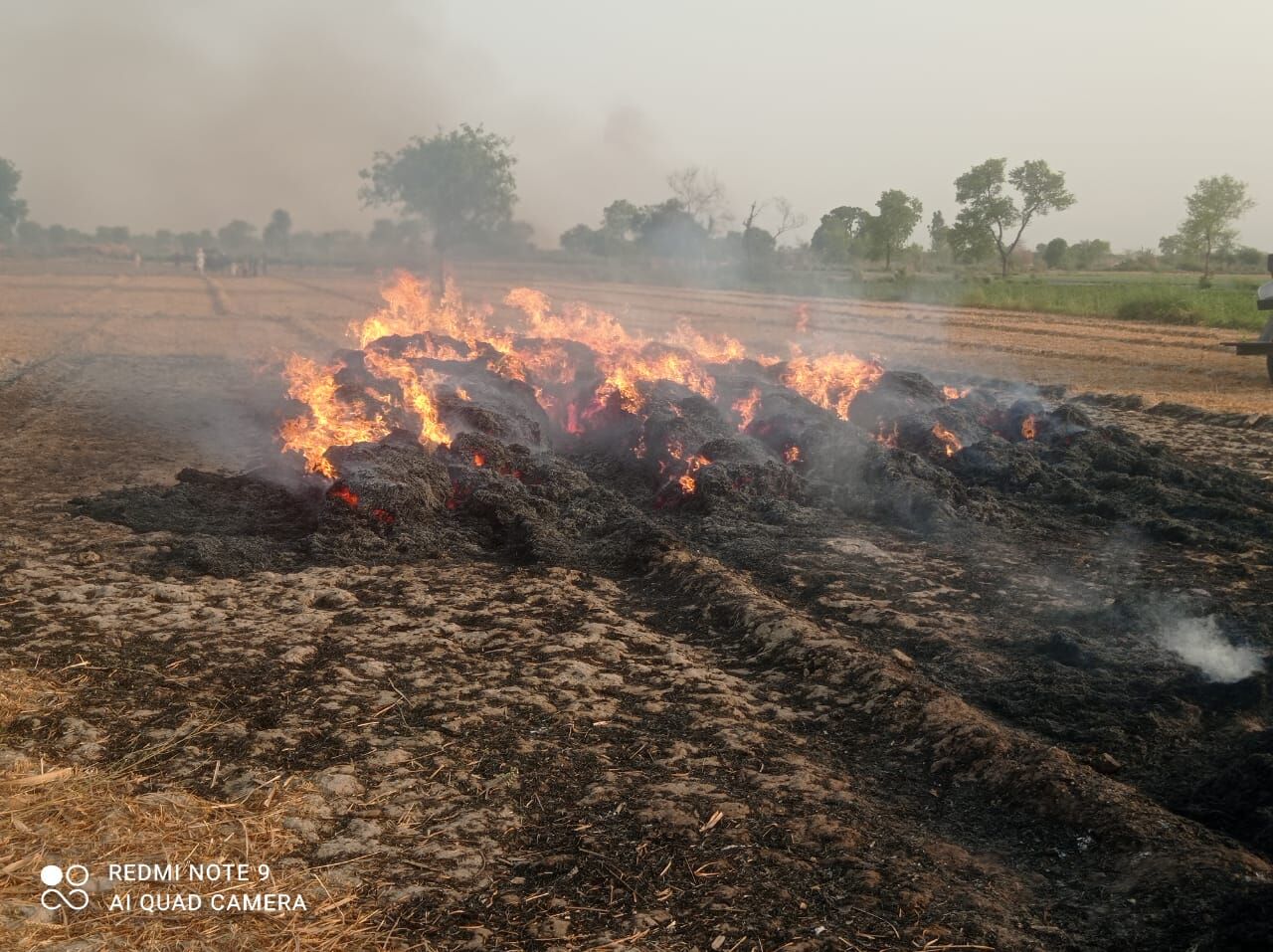 Sambhal News: गेहूं की एकत्र फसल में आग लगने पर किसान की 6 बीघा फसल जलकर राख हुई