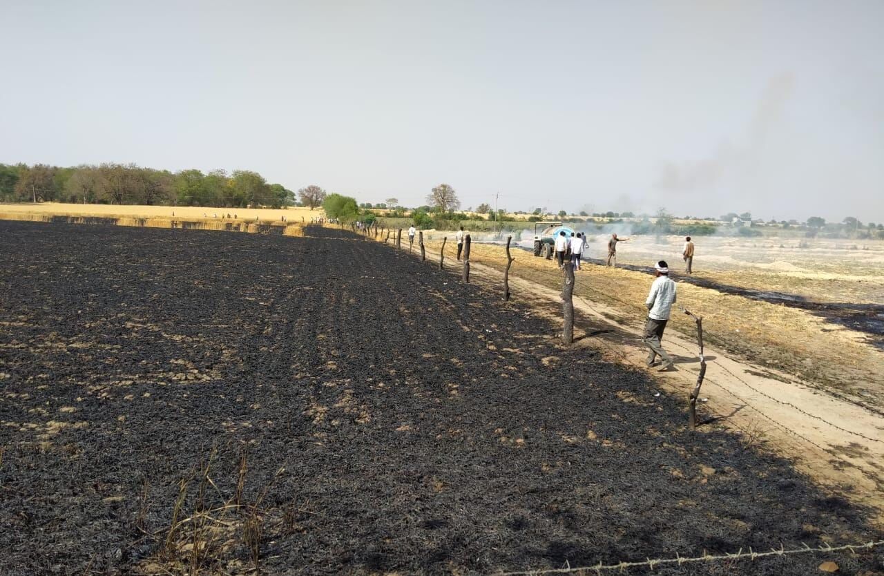 Bundelkhand News: बुन्देलखण्ड के सैकड़ों किसानों की खेत में खड़ी फसलें जलकर राख, क्या है प्रमुख वजह?