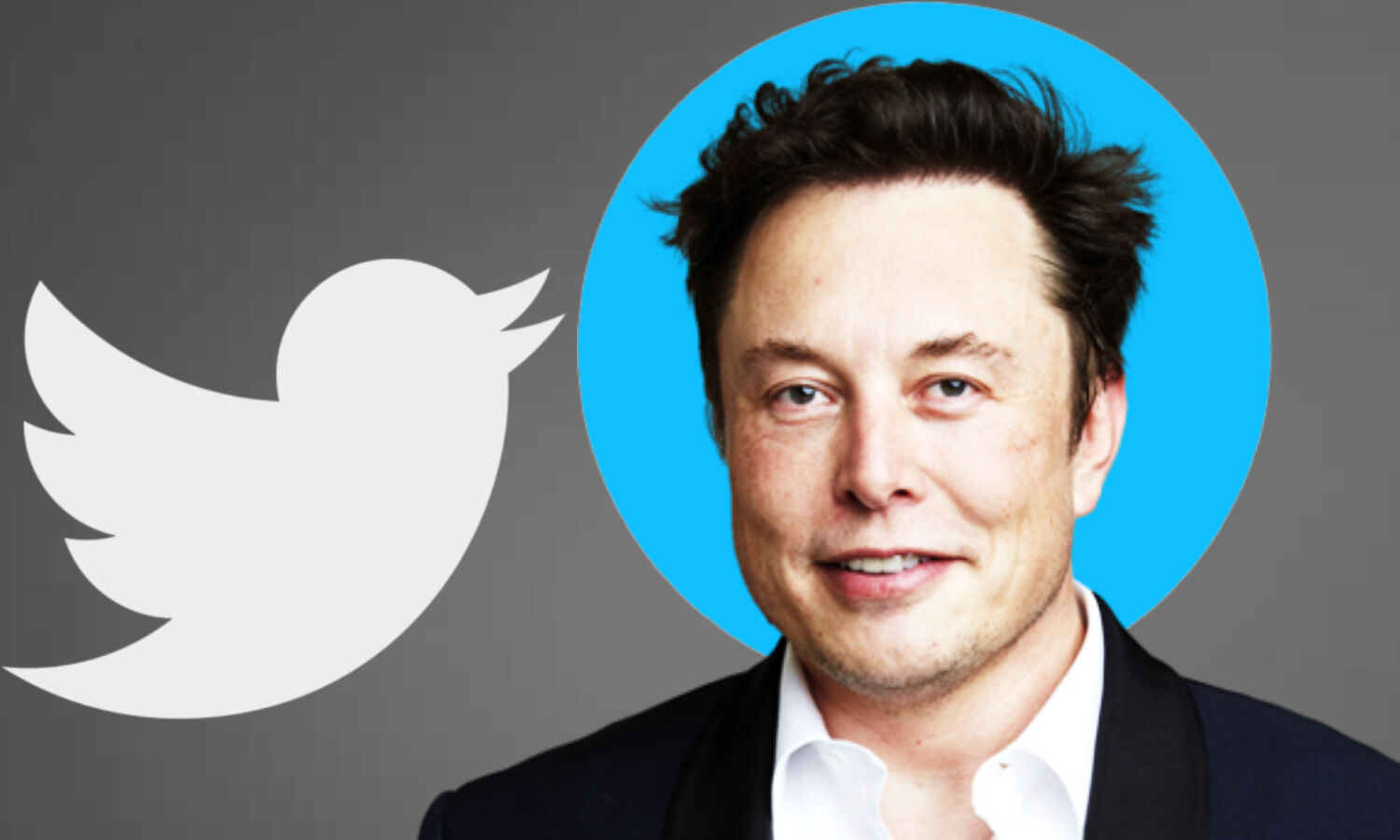Twitter New Work Policy : ट्विटर के कर्मचारियों को सप्ताह के सातों दिन 12 घंटे करना होगा काम, वरना नौकरी से धो बैठेंगे हाथ,  Elon Musk का नया फरमान