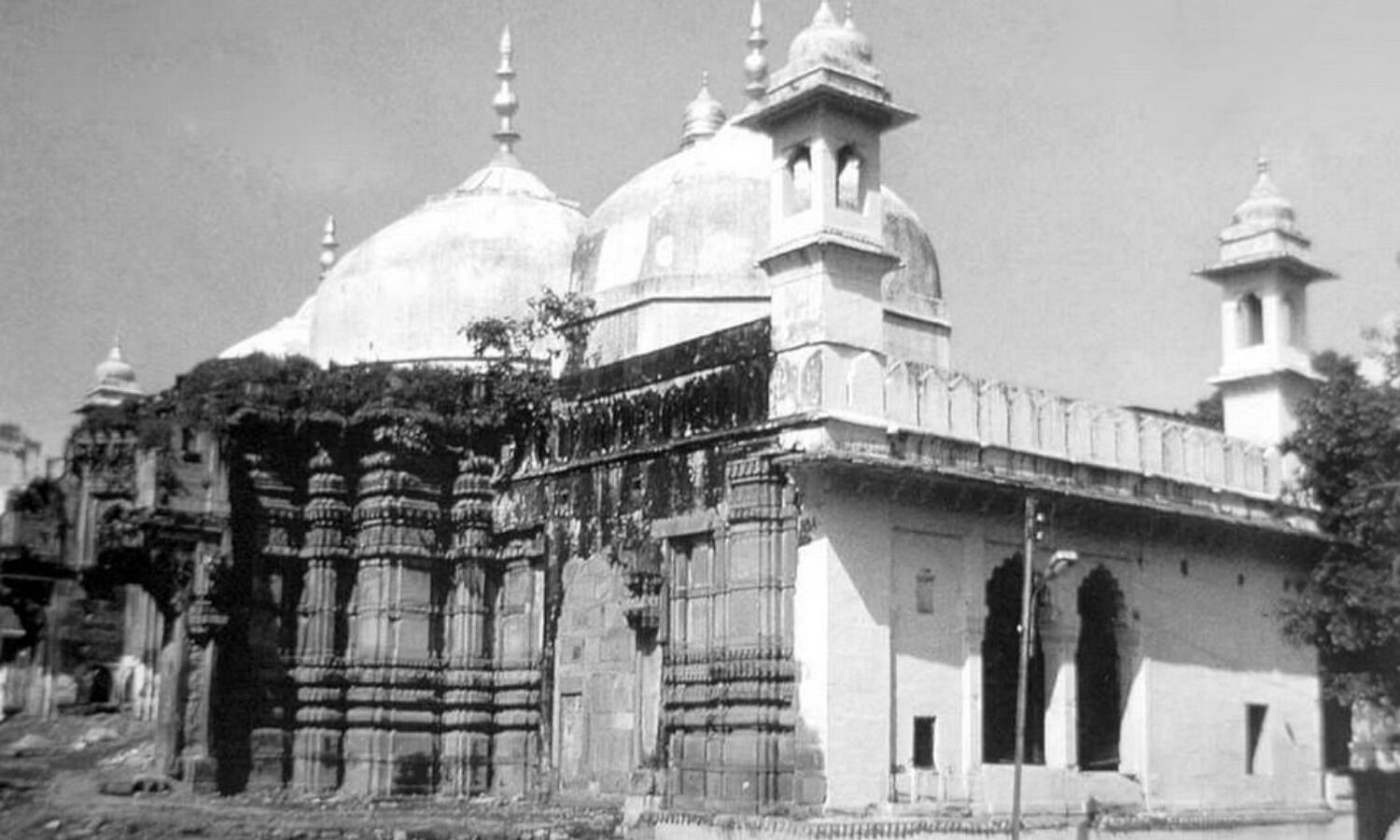Gyanvapi Masjid Row : क्या औरंगजेब इतना बेवकूफ था कि मंदिर तोड़ दिया और शिवलिंग छोड़ दिया?- AIMIM प्रवक्ता ने उठाया सवाल तो ये जवाब मिला