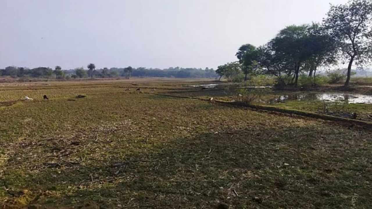 Jharkhand News : गांव की 199 एकड़ जमीन पड़ी है वीरान, इस अंधविश्वास के कारण कोई मकान बनाने को नहीं है तैयार