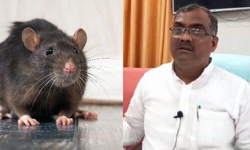 Banda News: सर्किट हाउस में योगी के मंत्री को चूहे ने काटा, ढाई घंटे अस्पताल में रहे भर्ती