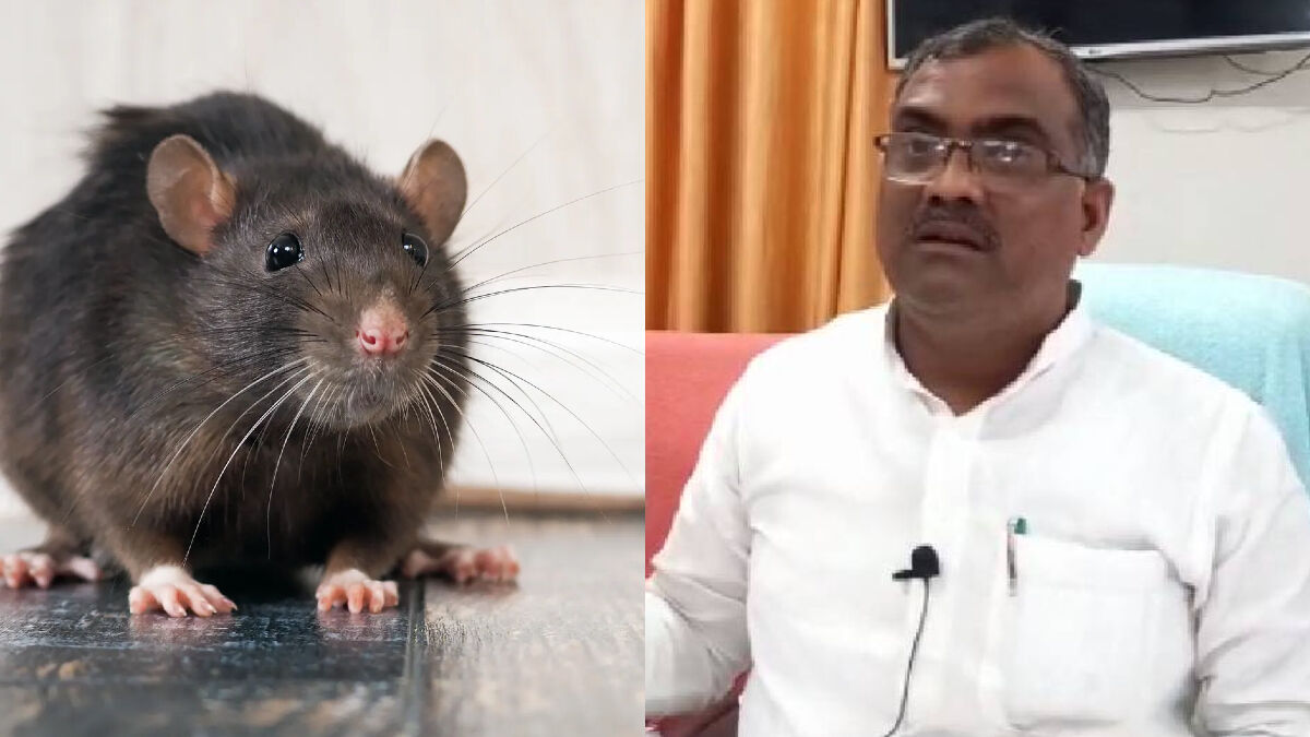 Banda News: सर्किट हाउस में योगी के मंत्री को चूहे ने काटा, ढाई घंटे अस्पताल में रहे भर्ती