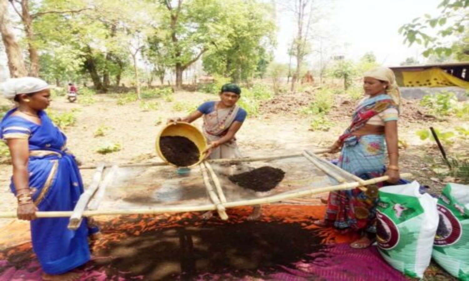 Organic Farming In Chhattisgarh : स्वयं सहायता समूह ने केंचुए - कीड़े बेचकर कमाए 40 हजार रुपए