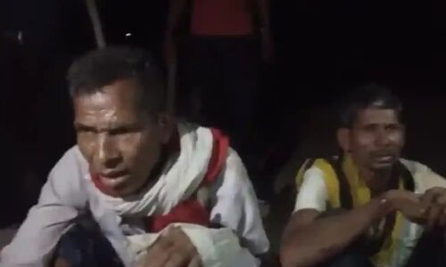 Seoni Simaria Mob Lynching: मध्य प्रदेश में जिन दो  आदिवासियों की गौ हत्या के नाम पर हुई लिंचिंग, उनके लिए मेधा पाटकर ने उठाई आवाज