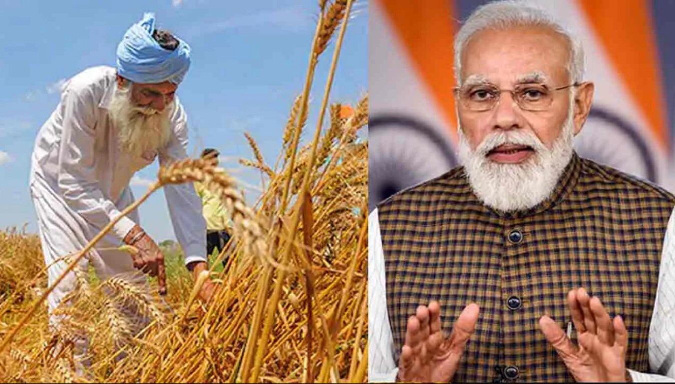 Wheat Export Ban: मोदी सरकार ने गेहूं के निर्यात पर तत्काल प्रभाव से लगा दिया रोक, जानें क्या है फैसले के पीछे की वजह