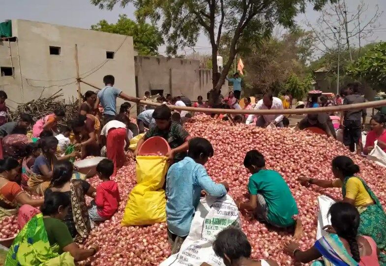 Vidarbha News: प्याज़ के दाम सही ना मिलने से नाराज़ किसान ने 200 क्विंटल प्याज़ मुफ्त में बांट दिया