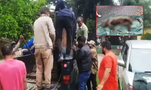 Pauri Garhwal News : पिंजरे में कैद बेजुबान गुलदार को जिंदा जला डाला ग्रामीणों ने, महिला की मौत से भड़के हुए थे ग्रामीण