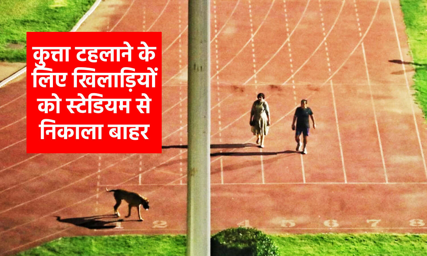 Delhi News : कुत्ता लेकर टहल सकें IAS अधिकारी, इसलिए एथलीट्स से खाली करा लिया गया था त्यागराज स्टेडियम