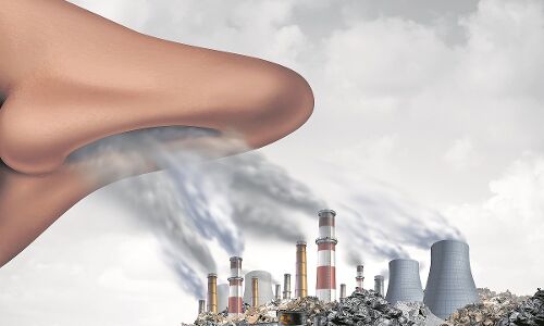 Air Pollution News: वायु प्रदूषण से निपटने के लिए दक्षिण एशियाई देशों का बने एक फोरम