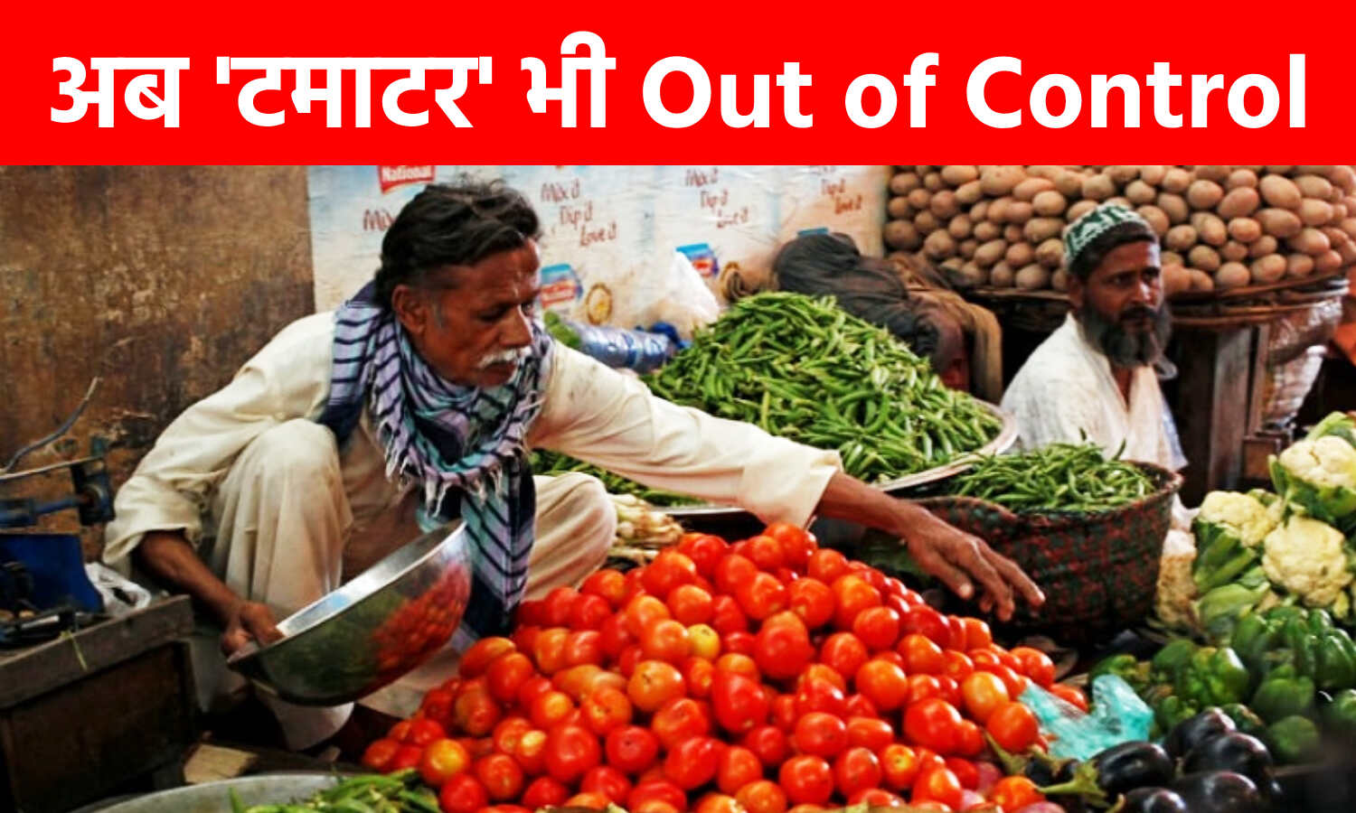 Tomato Price Rise : टमाटर की बढ़ती कीमतों को नियंत्रित क्यों नहीं कर पा रही है सरकार, क्या ये और बढ़ेगी?