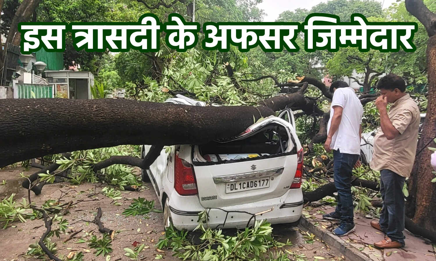 Delhi HC on Trees : दिल्ली में तूफान के दौरान पेड़ अफसरों के कारण गिरे, हाईकोर्ट ने लगायी फटकार