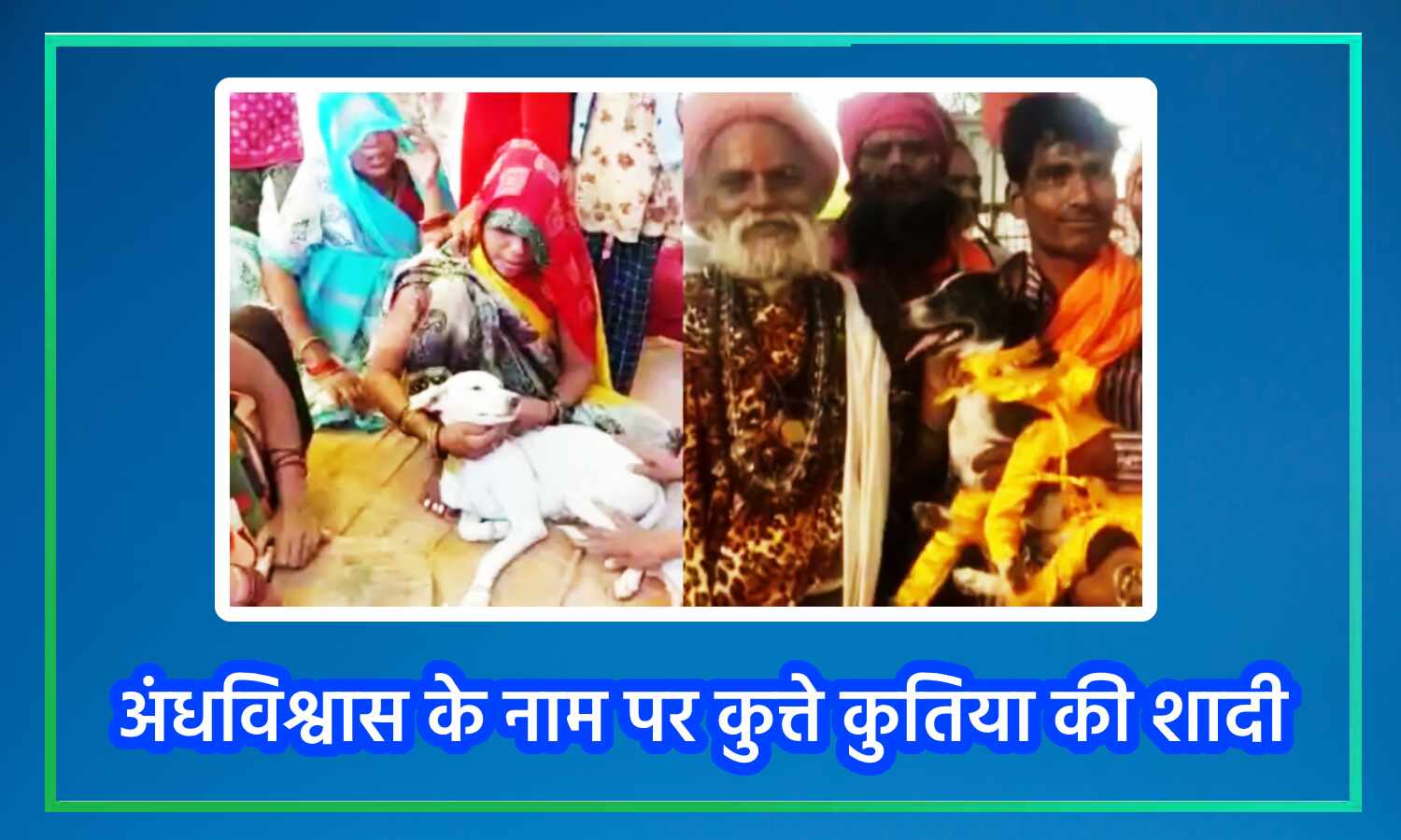 Uttar Pradesh News : कुत्ते और कुतिया की शादी में शामिल हुए 500 लोग, सोने-चांदी के गहनों का चढ़ावा, हिंदू रीति-रिवाजों के साथ पूरी हुई रस्में