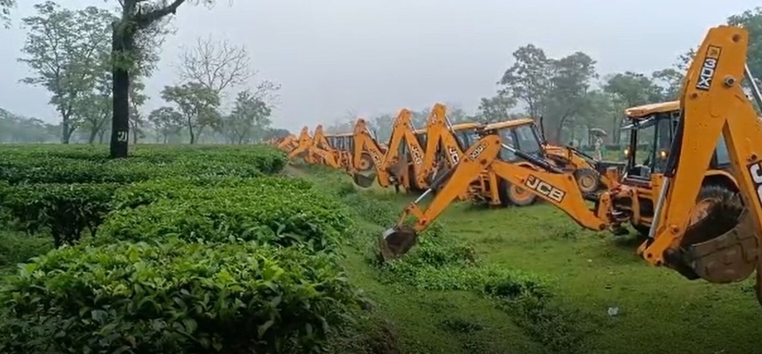 Assam News: असम ने उस हवाई अड्डे के लिए चाय बागान को तबाह करने की मंजूरी दी जिसे बनाने का कोई प्रस्ताव ही नहीं है