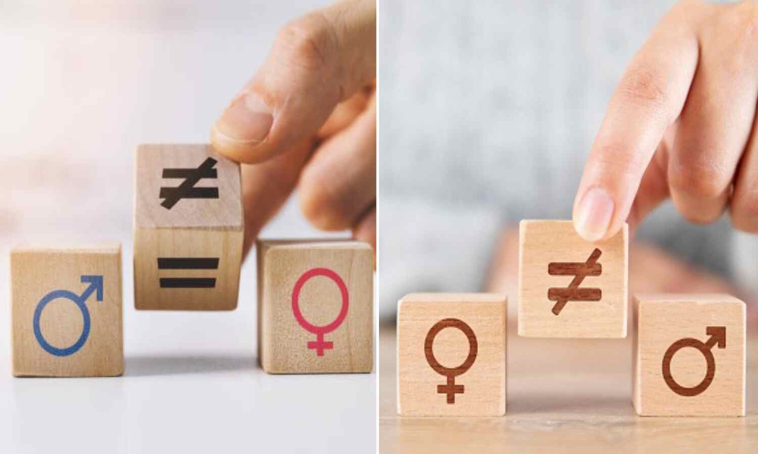 Gender Change In Meerut : दो युवक 4 घंटे में बने लड़की, मेडिकल कॉलेज में सर्जरी से करवाया जेंडर चेंज