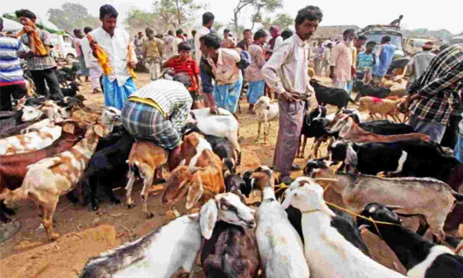 Bakra Eid 2022 New Guidelines : बकरीद पर घर या खुले में नहीं दी जा सकेगी  कुर्बानी, आदेश का उल्लंघन करने पर होगी सख्त कार्रवाई