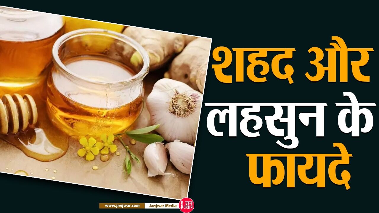 Garlic And Honey Benefits: शहद और लहसुन के फायदे