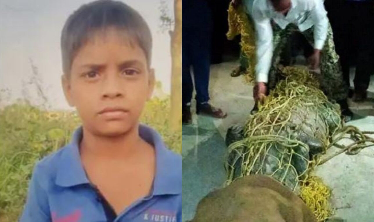 Uttarakhand News:  भैंस लेकर गए बच्चे को जिंदा निगल गया मगरमच्छ, एक्स-रे में खाली मिला पेट, कहां गया बच्चा?