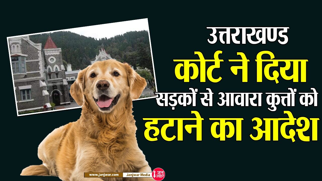 Uttarakhand News : उत्तराखण्ड में सड़कों से हटेंगे आवारा कुत्ते, नैनीताल हाईकोर्ट ने डॉग बाइट के 11 हजार मामलों की याचिका के बाद दिया फैसला