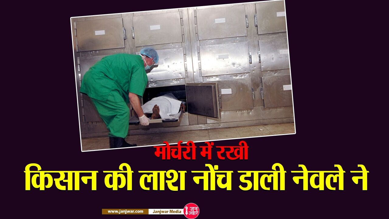 Jhansi News : मोर्चरी में रखे किसान के शव को नेवले ने नोंच डाला, प्रशासन पर लापरवाही का आरोप लगाते परिजनों ने काटा हंगामा
