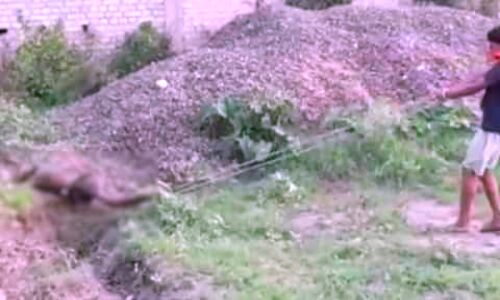 Bihar News : बिहार पुलिस की बर्बरता, शव के पैर में रस्सी बांधकर सड़क पर घसीटा