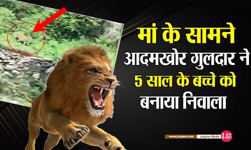 Pauri Garhwal news : 5 साल के कलेजे के टुकड़े को जबड़े में दबाकर ले गया आदमखोर गुलदार, चिल्लाती रह गई मां