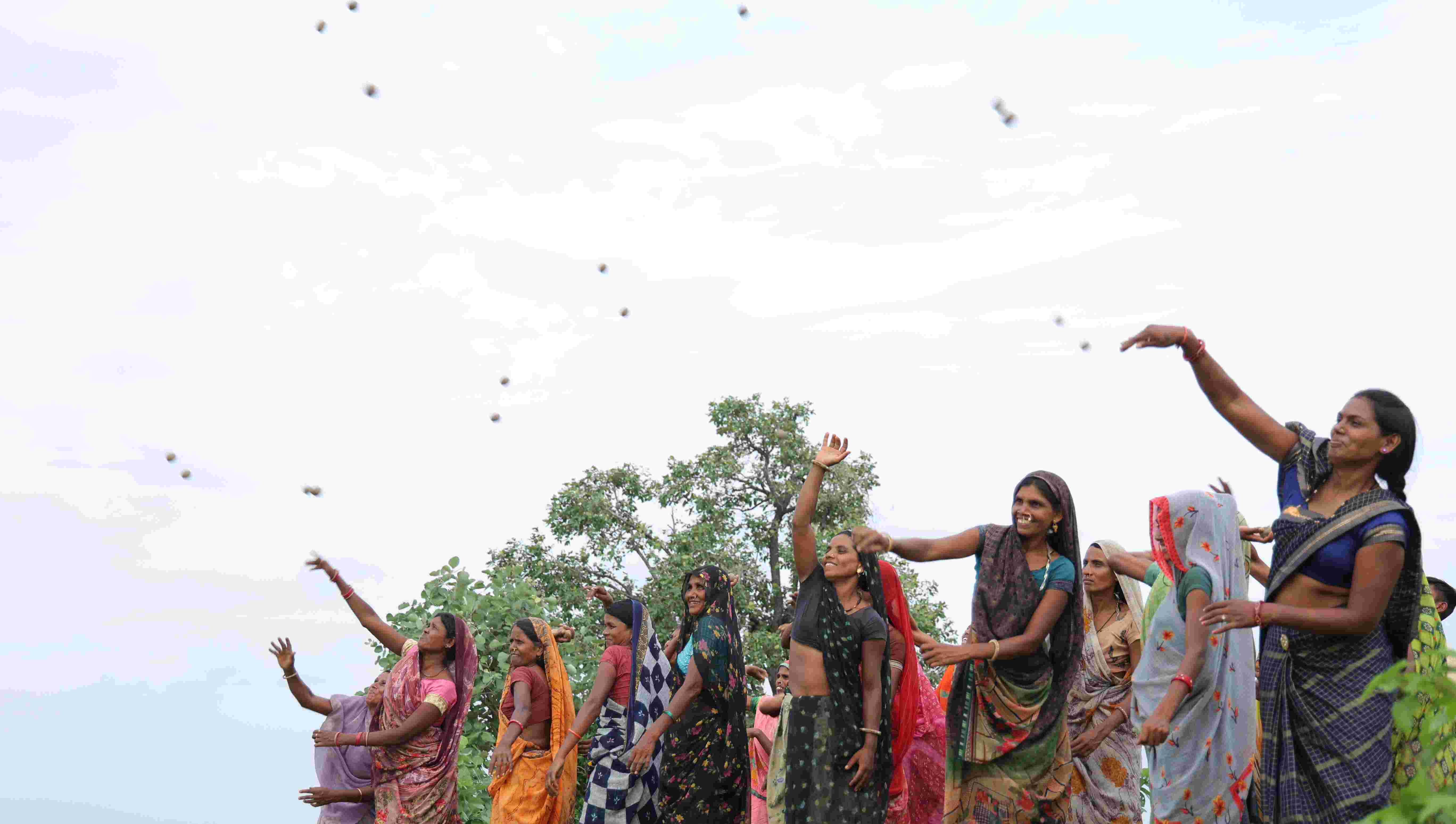 Banswara News: 30 गांवों के लोगों ने वन व सार्वजनिक भूमि में बोए 80 हजार बीज, उगे तो हरा भरा हो जाएगा जंगल