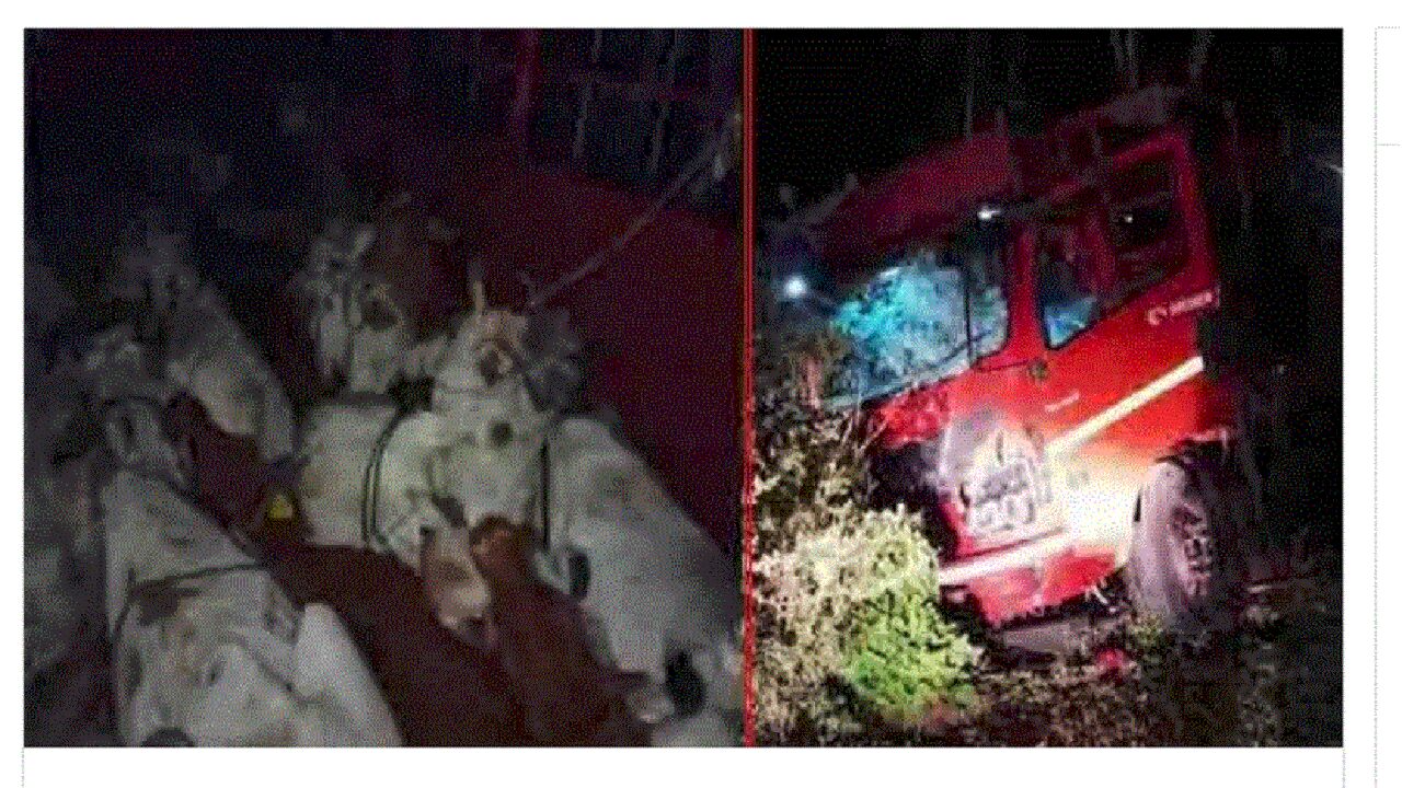 Mob lynching : एमपी के होशंगाबाद में भीड़ ने ली गोतस्करों की जान, 4 गिरफ्तार