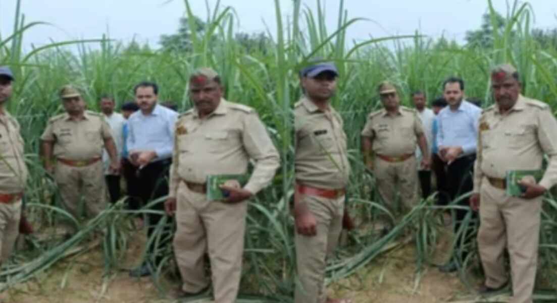 Bijnor News: मां के साथ सो रही बच्ची को उठा ले गया गुलदार,नींद खुली बच्ची गायब देख मचा कोहराम