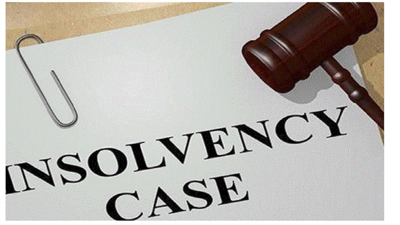 Insolvency and Bankruptcy Cases : देश में 1999 उद्योगपति हुए दिवालिया तो रियल स्टेट में 436 मामले