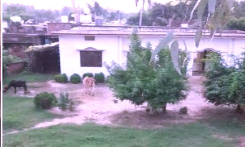 Uttar Pradesh News : इस गांव में 66 साल से नहीं मनाया गया रक्षाबंधन, वजह जान कर रह जाएंगे दंग Uttar Pradesh News : इस गांव में 66 साल से नहीं मनाया गया रक्षाबंधन, वजह जान कर रह जाएंगे दंग