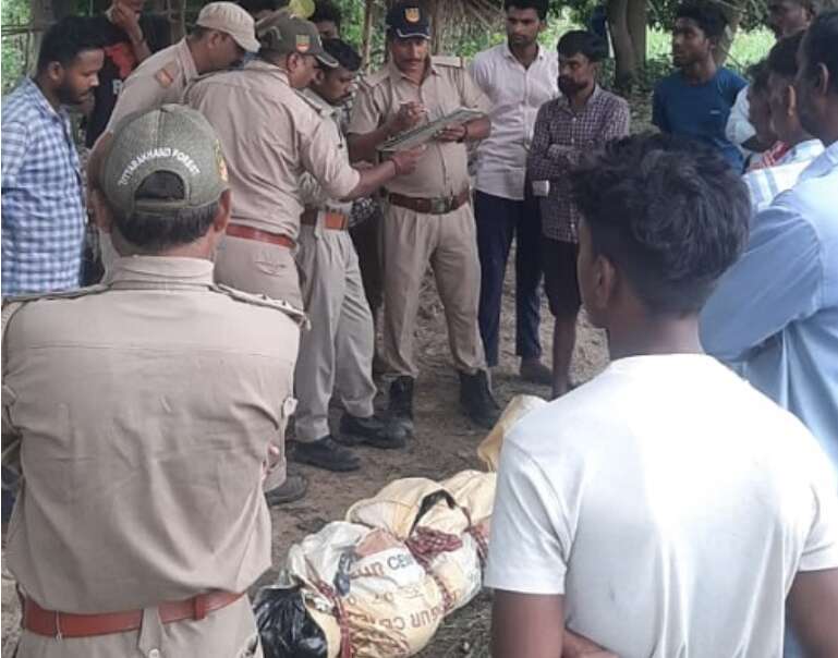 Udham Singh Nagar News: मछली पकड़ने गया था युवक, मगरमच्छ का बन गया शिकार