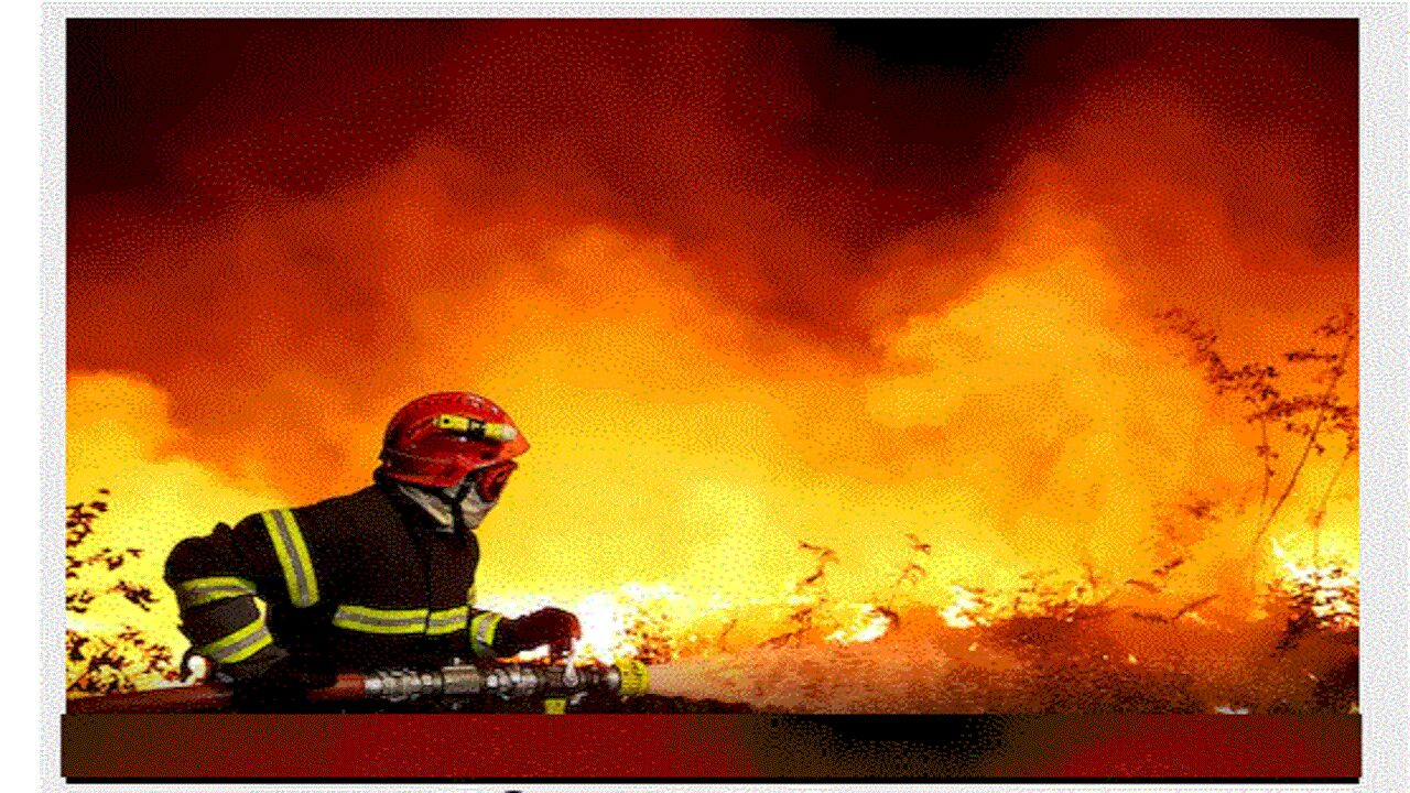 Egypt Fire News : काहिरा के कॉप्टिक चर्च में आग से भयंकर हादसा, 41 की मौत, 4 घायल, मचा कोहराम