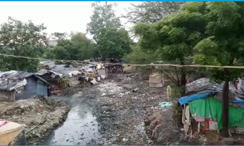 Ground Report : गंदगी से पटी रीवा की निराला नगर की 2 हजार आबादी वाली दलित बस्ती, PMAY की हकीकत भी बयां कर रहीं सैकड़ों झोपड़ियां