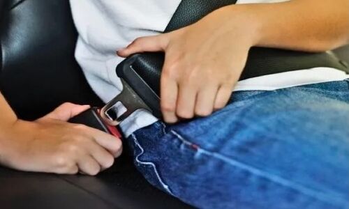 कार में आगे ही नहीं पीछे सीट पर भी सीट बेल्ट नहीं लगायी तो चुकाना होगा जुर्माना, सड़क हादसों में जान गंवाने वालों में सबसे ज्यादा भारतीय