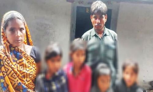 Chhattisgarh News : ढाई साल की बच्ची पर मधुमक्खियों का हमला, झाड़-फूंक के कारण हो गई मौत