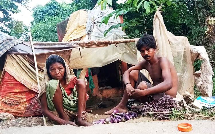 Jharkhand News : आदिम जनजाति की दुर्दशा बेहद दयनीय, बुजुर्ग महिला परिवार के साथ शौचालय में रहने के लिए मजबूर