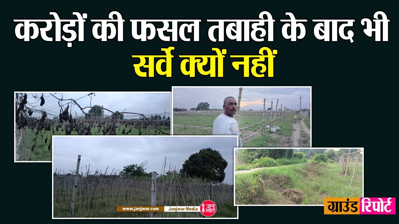 बनारस के गांव में गंगा की बाढ़ से करोड़ों की सब्जी की फसल बर्बाद, किसानों की इतनी बड़ी तबाही के बाद भी कोई सरकारी सर्वे नहीं बनारस के गांव में गंगा की बाढ़ से करोड़ों की सब्जी की फसल बर्बाद, किसानों की इतनी बड़ी तबाही के बाद भी कोई सरकारी सर्वे नहीं