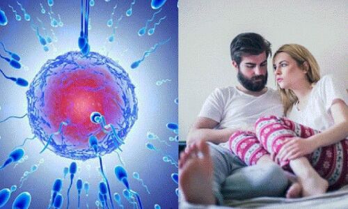 टॉप 10 न्यूज : महिलाओं की प्रेग्नेंसी पर सामने आया नया राज, नई जिंदगी के लिए टीम बनाकर दौड़ लगाते हैं स्पर्म