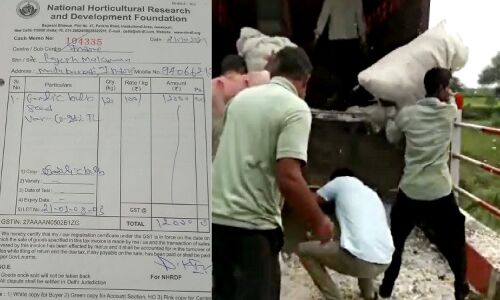 राष्ट्रीय बागवानी अनुसंधान संस्थान ने भी ठगा किसानों को : फसल खरीदने का वादा कर महंगे दाम पर बेचा बीज, अब तैयार फसल खरीदने से साफ इंकार