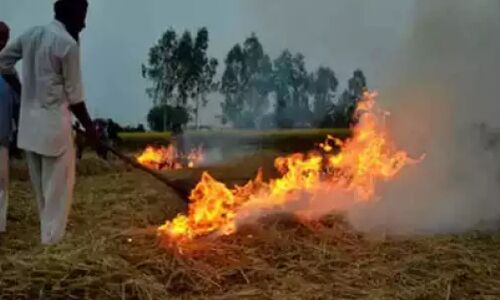 Ghaziabad News: गाजियाबाद में पराली जलाने पर लगा प्रतिबंध, 15 हजार का लगेगा जुर्माना