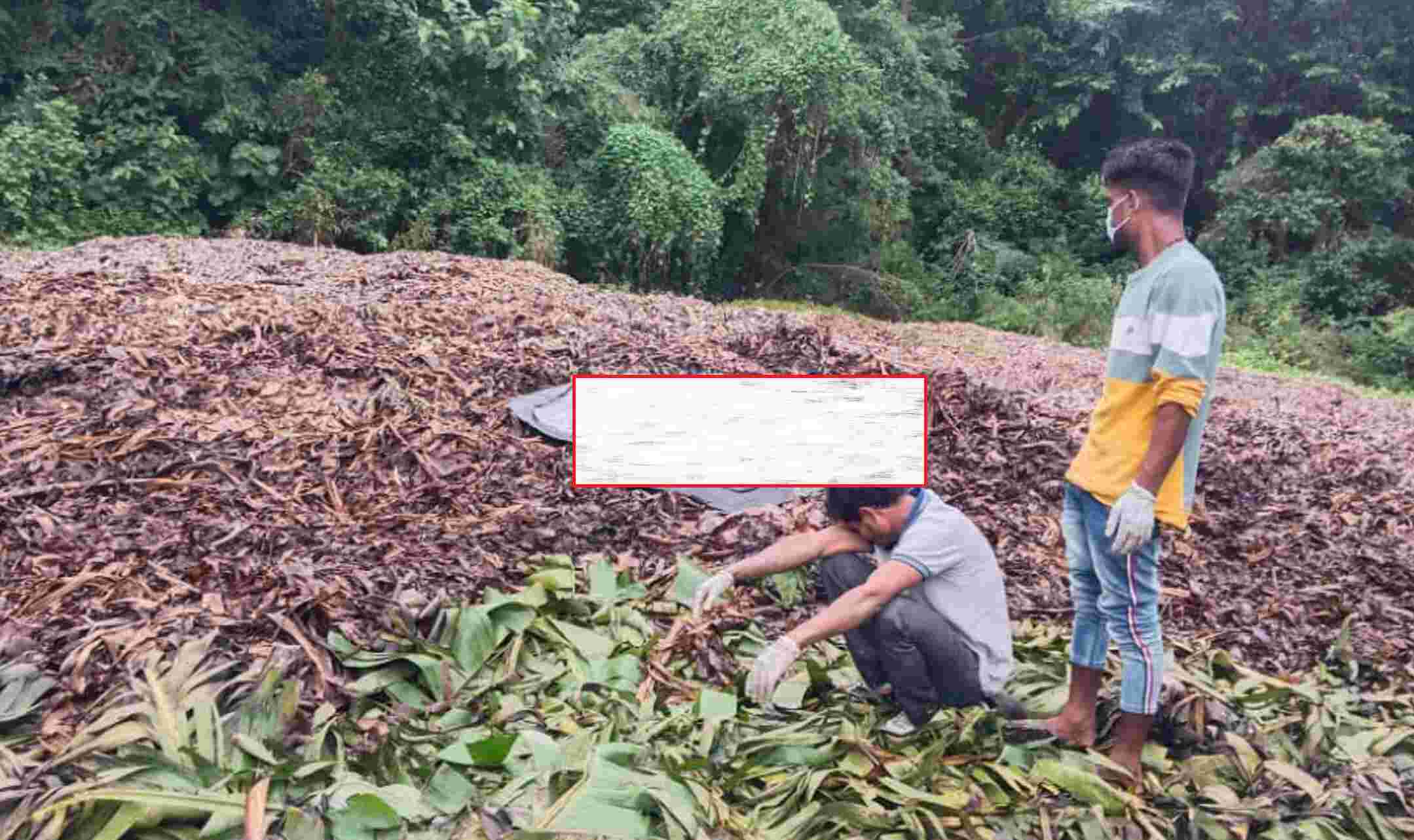 Pilibhit News : काले धंधे में साथी को दी गद्दारी पर मौत की सजा, उत्तराखंड के युवक का पीलीभीत में मिला शव, जानिए क्या था पूरा मामला