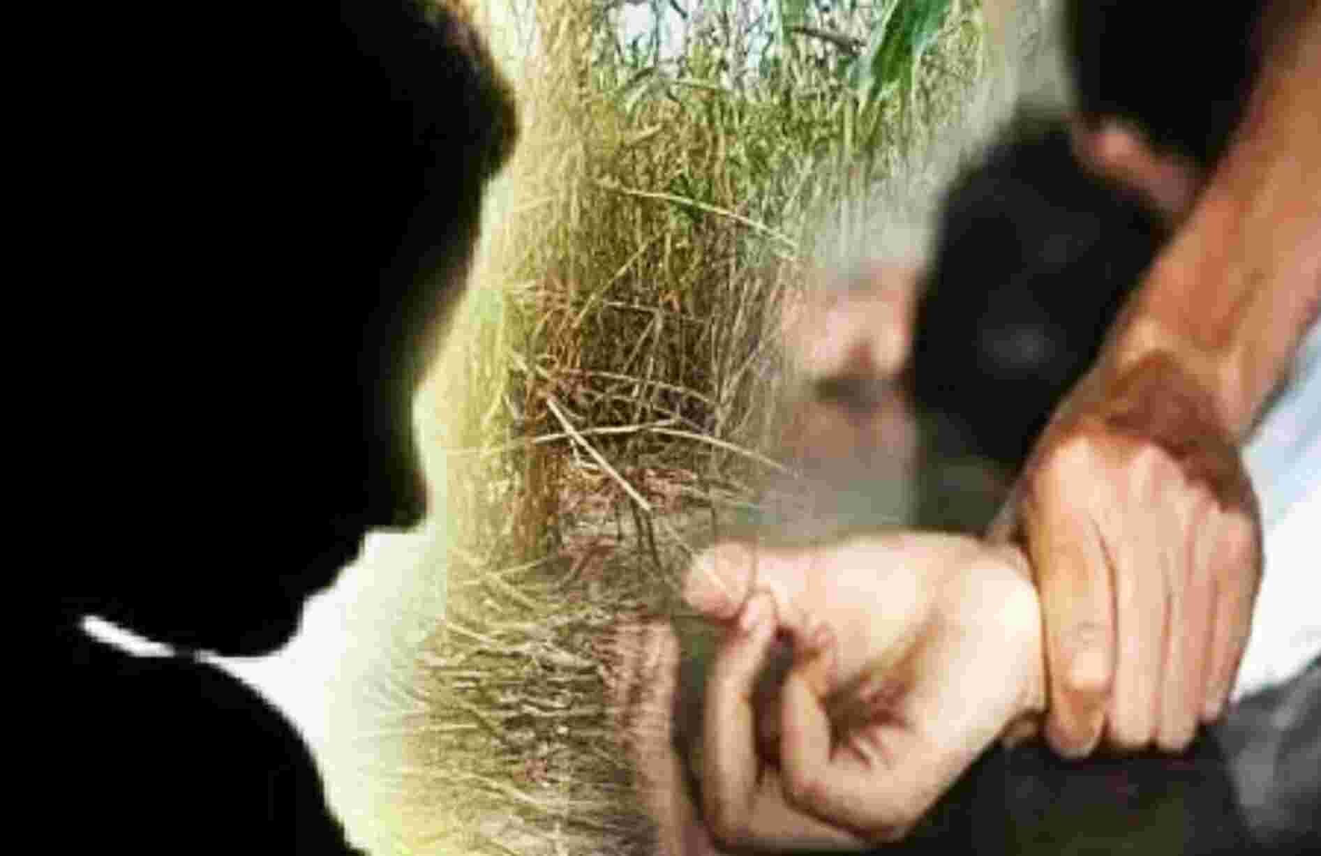 Crime Against Women : बेटी बचाओ - बेटी पढ़ाओ के स्वर्ण काल में पलवल से लेकर झांसी तक बेटियों से अपराध का बोलबाला