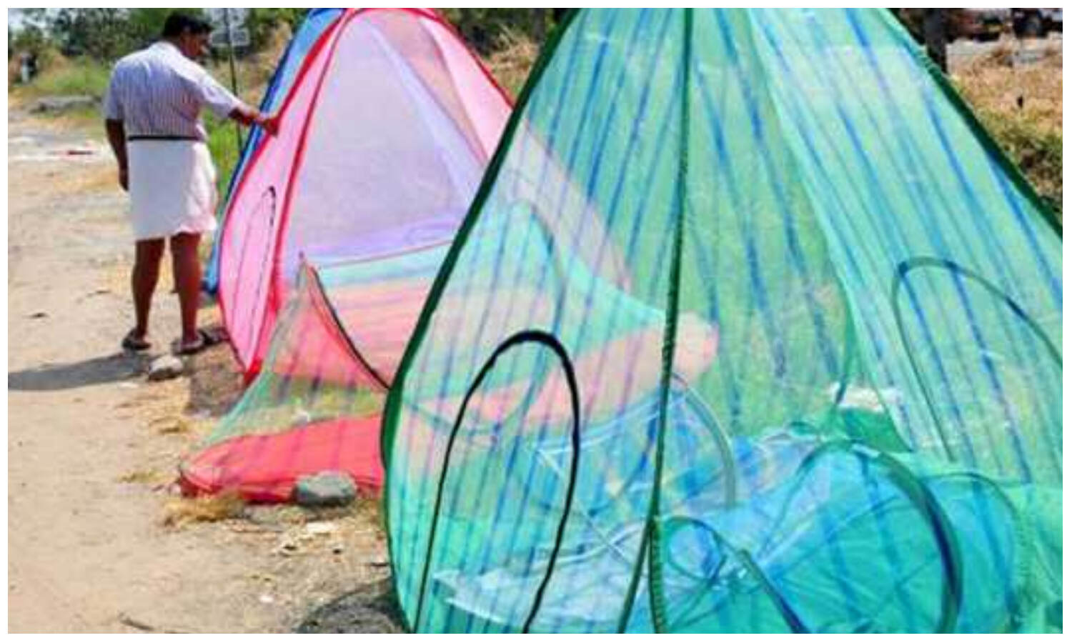 Pakistan News: आर्थिक मंदी के बाद मच्छरों से जूझ रहा पाकिस्तान, भारत से मांगी 60 लाख मच्छरदानियां