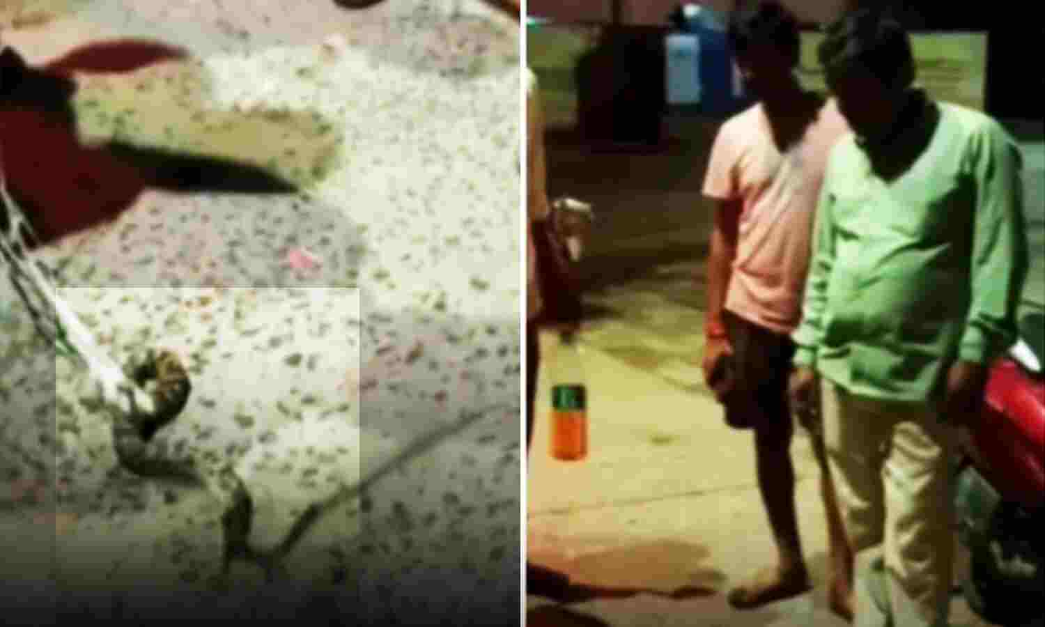 Auraiya News : डॉक्टर ने पूछा - मरीज को किस सांप ने काटा तो सांप लेकर अस्पताल पहुंचे परिजन, स्टाफ डरकर भागा