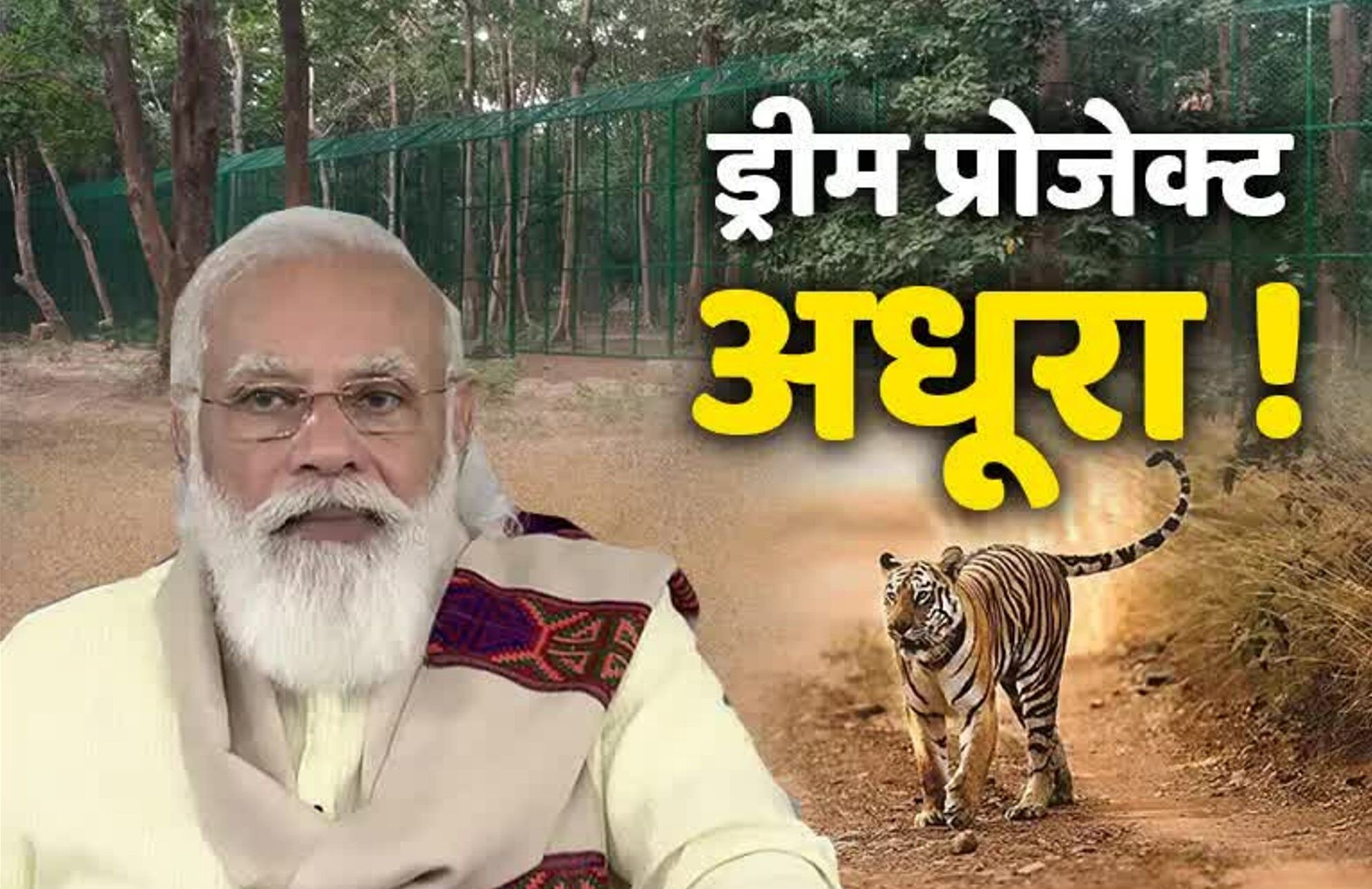 Corbett Tiger Reserve: मोदी के ड्रीम प्रोजेक्ट पर एनजीटी का ब्रेक, कॉर्बेट टाइगर रिजर्व में मोदी ने की थी घोषणा, पाखरो टाइगर सफारी का विवादित मामला