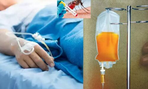 Prayagraj News: प्रयागराज में डेंगू मरीज की मौत मामले में चौंकाने वाला खुलासा, जानिए क्या चढ़ाया गया था